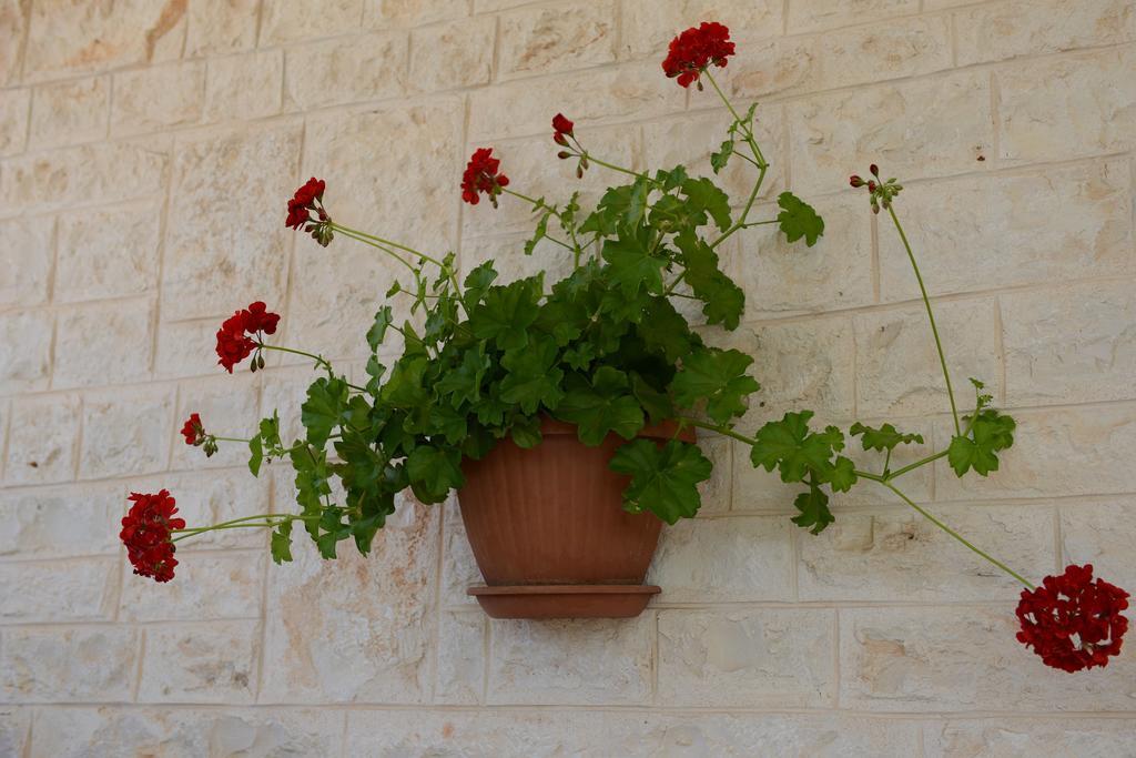 Trulli Dal Conte Apartamento Locorotondo Exterior foto